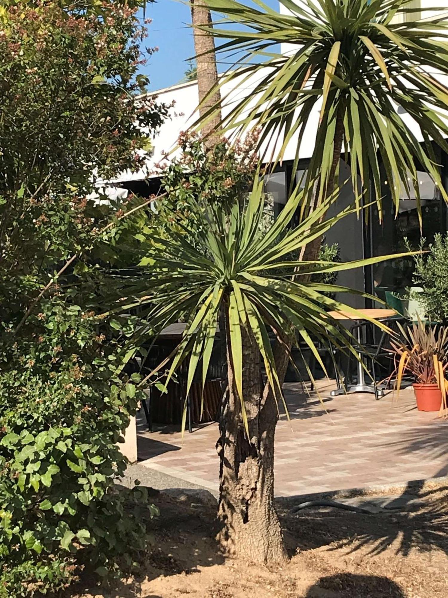 Brit Hotel Marseille Aeroport Mirabeau Exterior foto